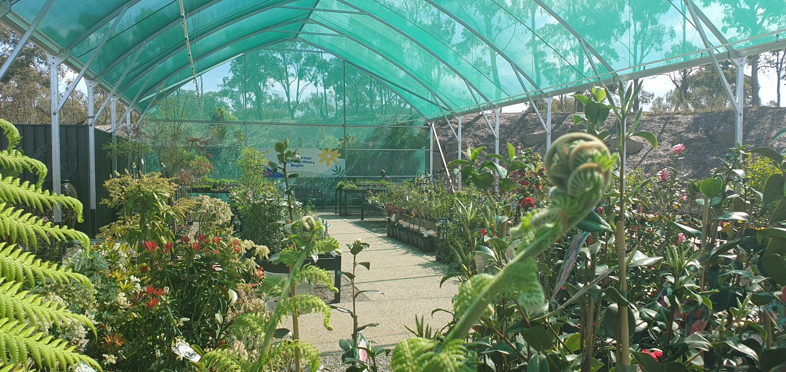 Interior garden centre under cover - exotic plants