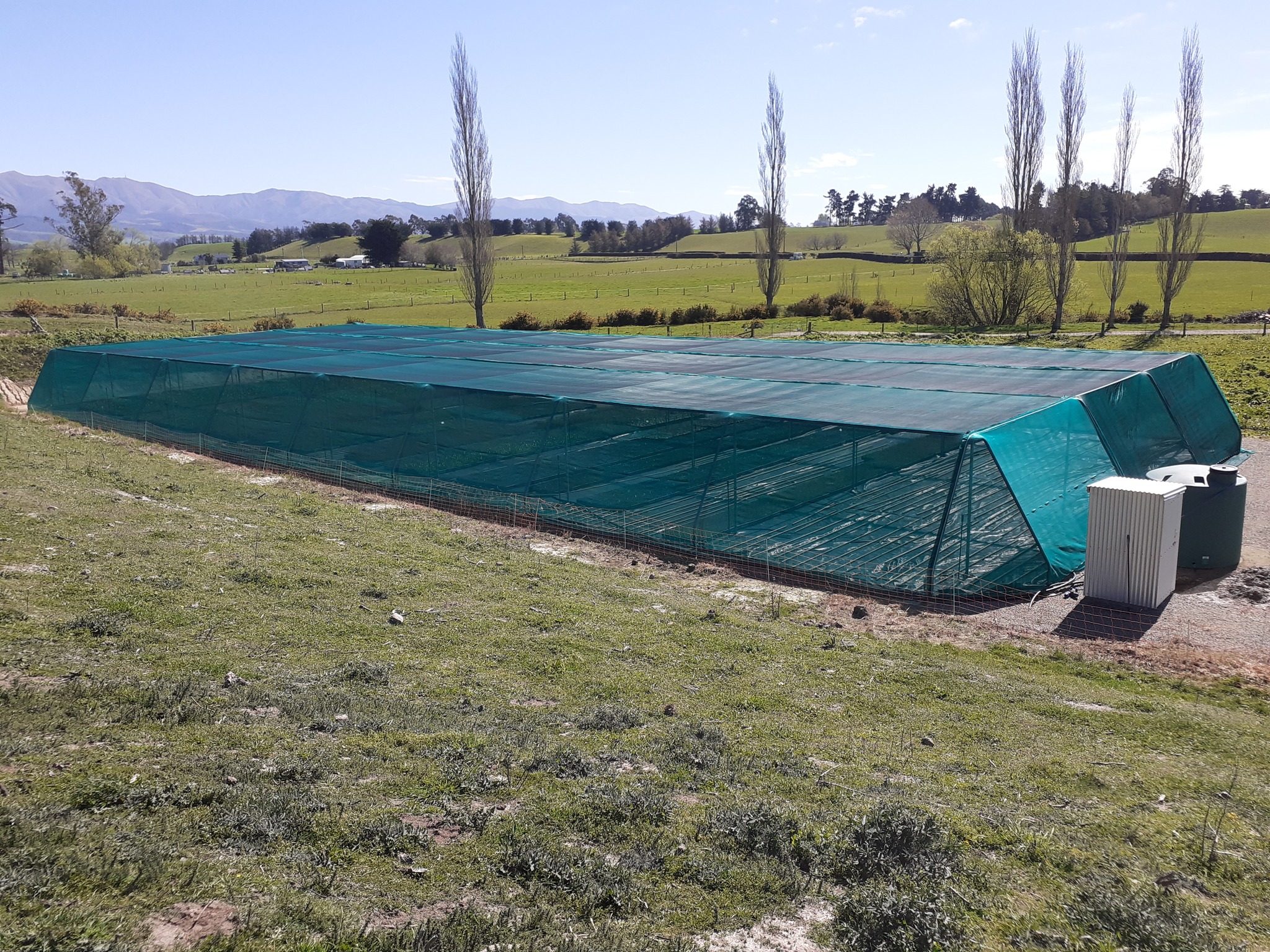 High angle view from the top of flat roof shadehouses surrounded by green grass - moutains in the background