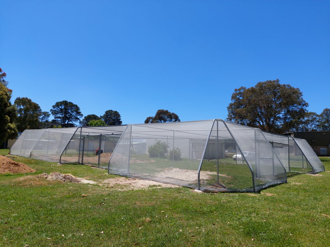 Green grass in foreground - flat roof shadehouse in center frame - blue sky in background