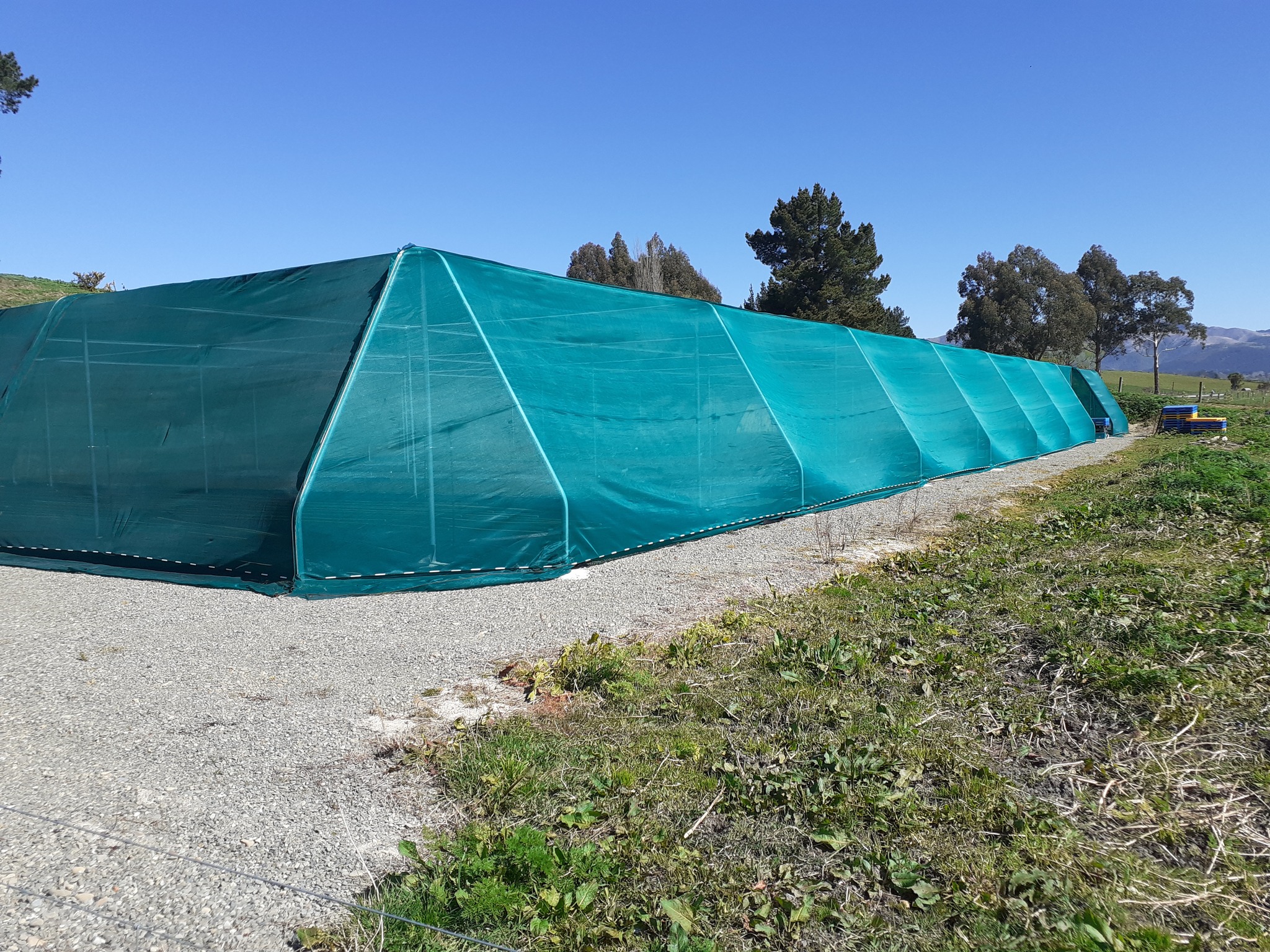Outside view of flat roof shadehouse - foreground grass and gravel - background blue sky with trees pooping up being the shade house
