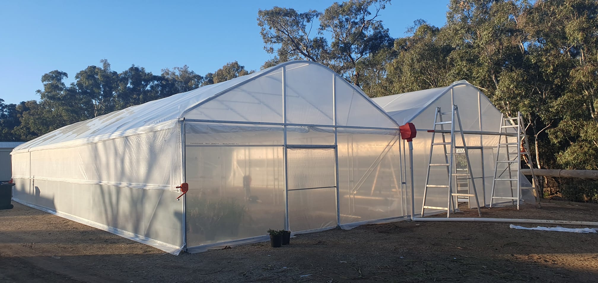 Two nursery greenhouses viewed from outside - trees and blue sky in the background