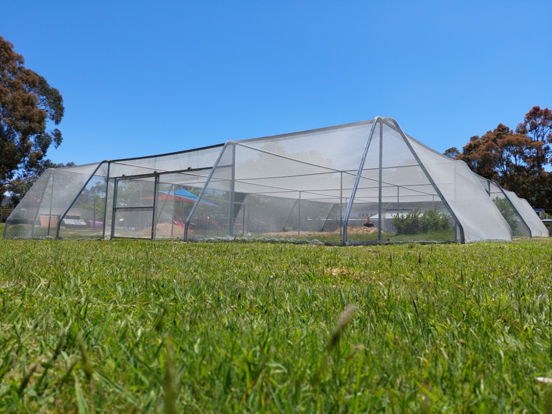 Green grass in foreground - flat roof shadehouse in center frame - blue sky in background