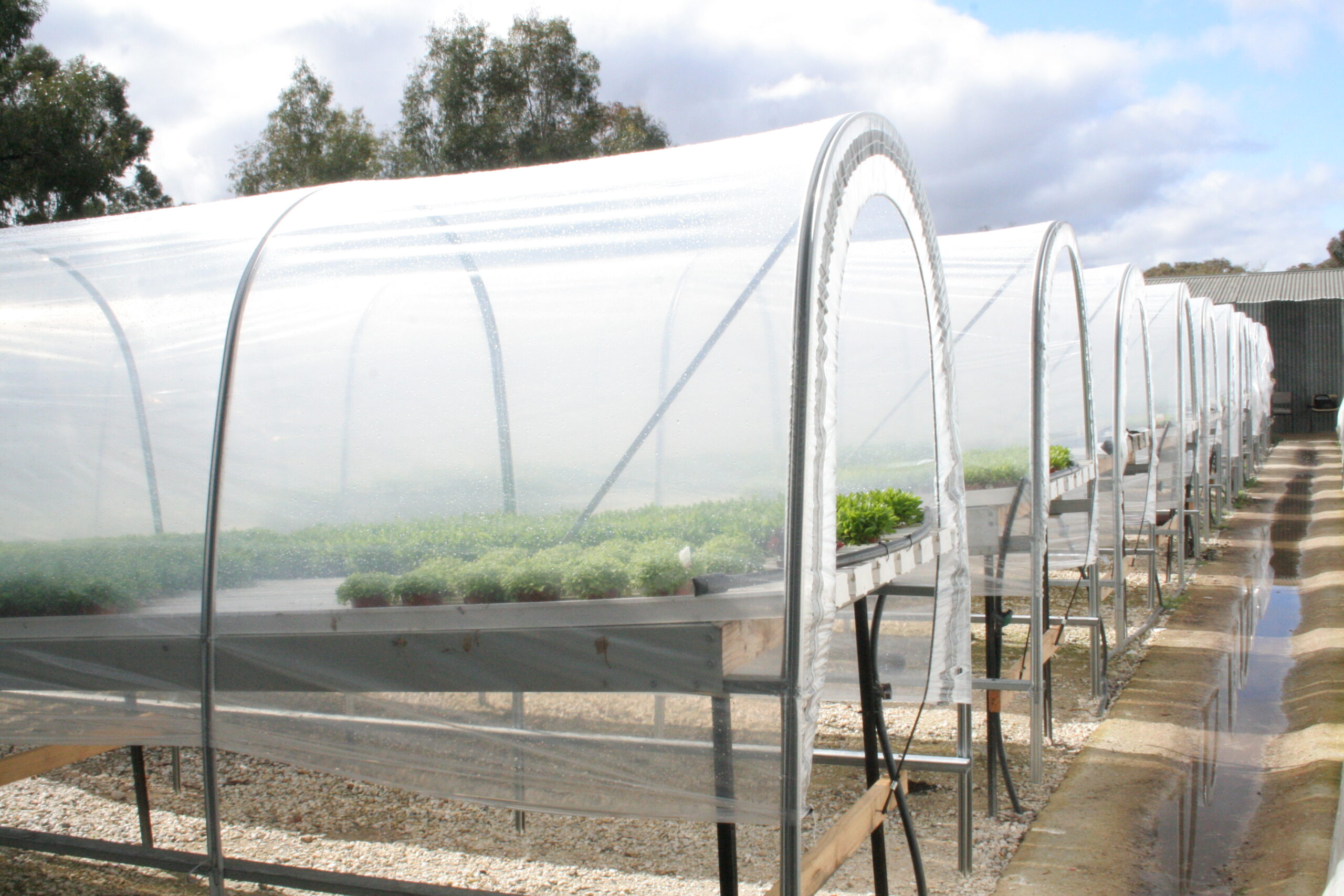 Side view of rows of cloche systems above ground