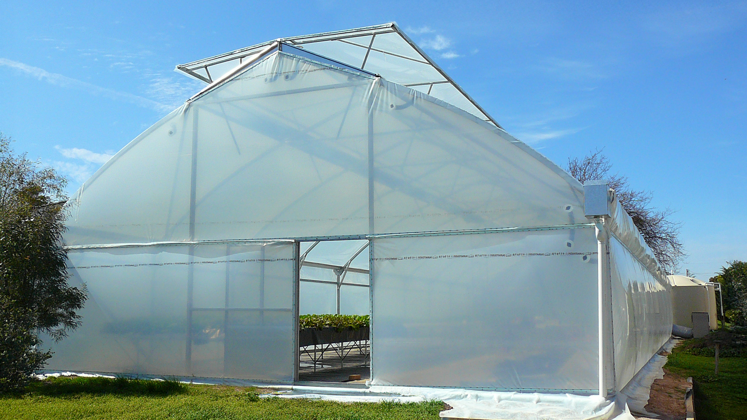Large greenhouse view from the front, outside, blue sky