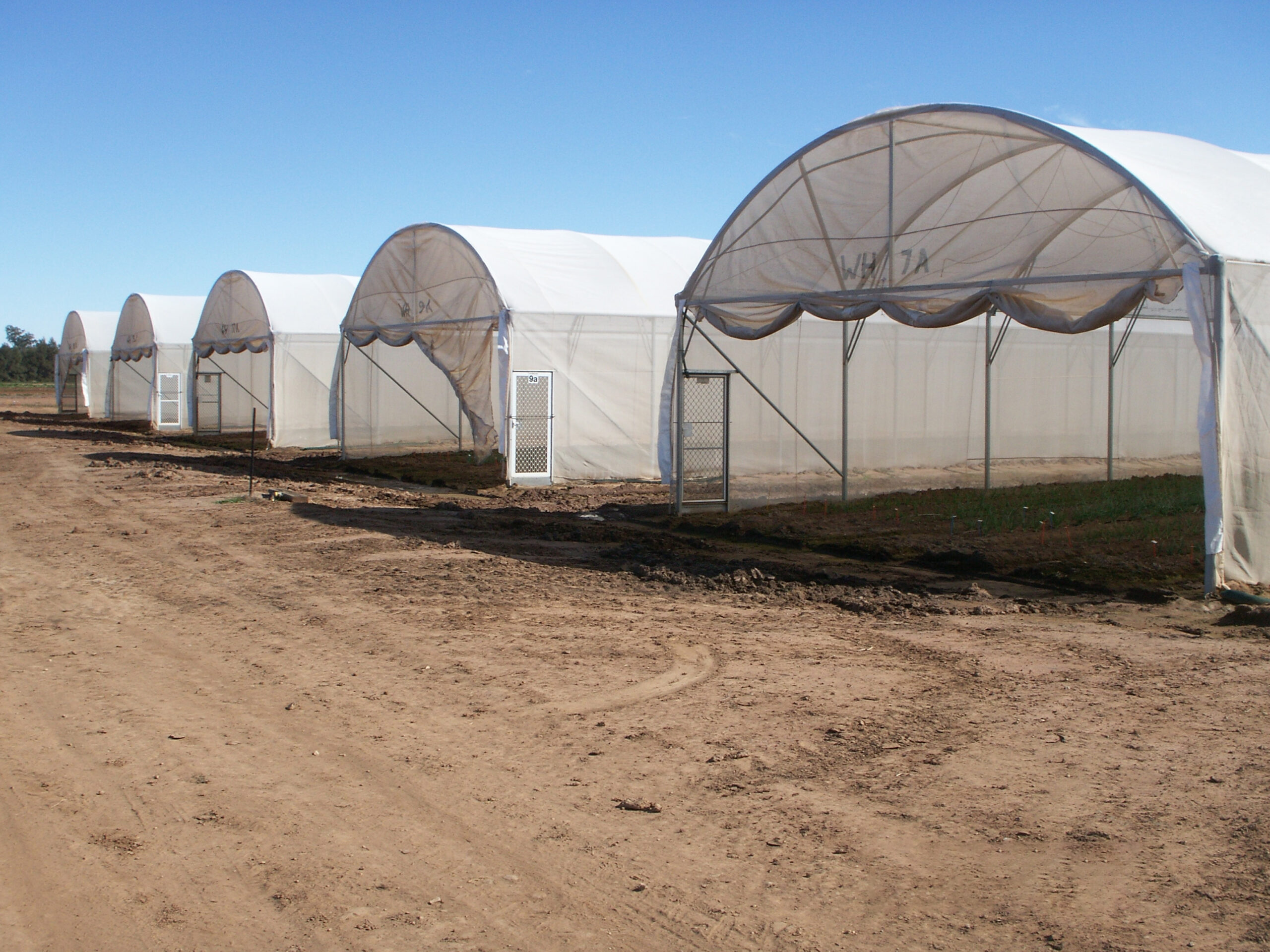 3 arch greenhouses outside - blue sky - earthy ground