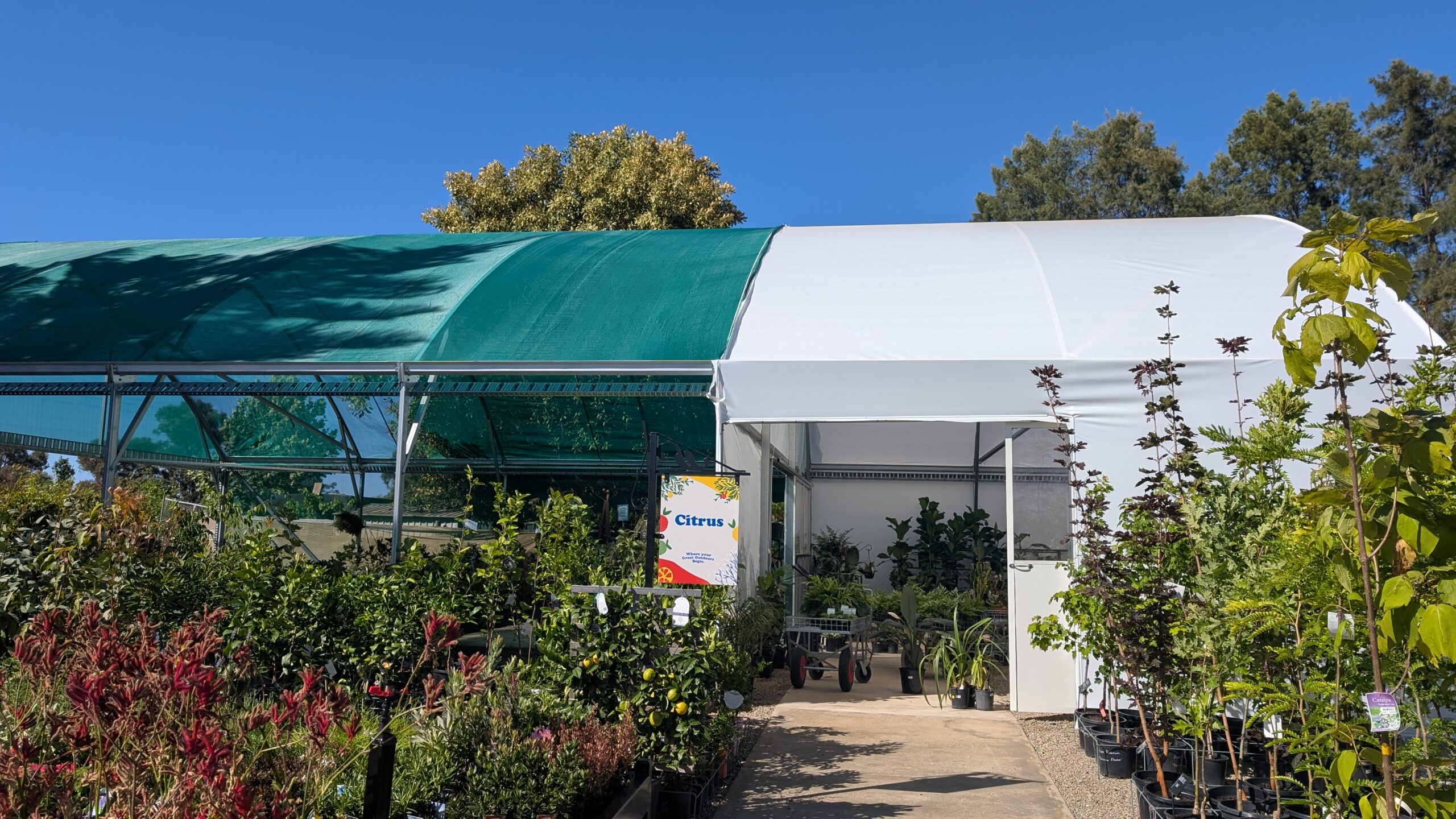 Exterior shot - path leading to entrance surrounded by plants - the entrance has a sign that reads "citrus"