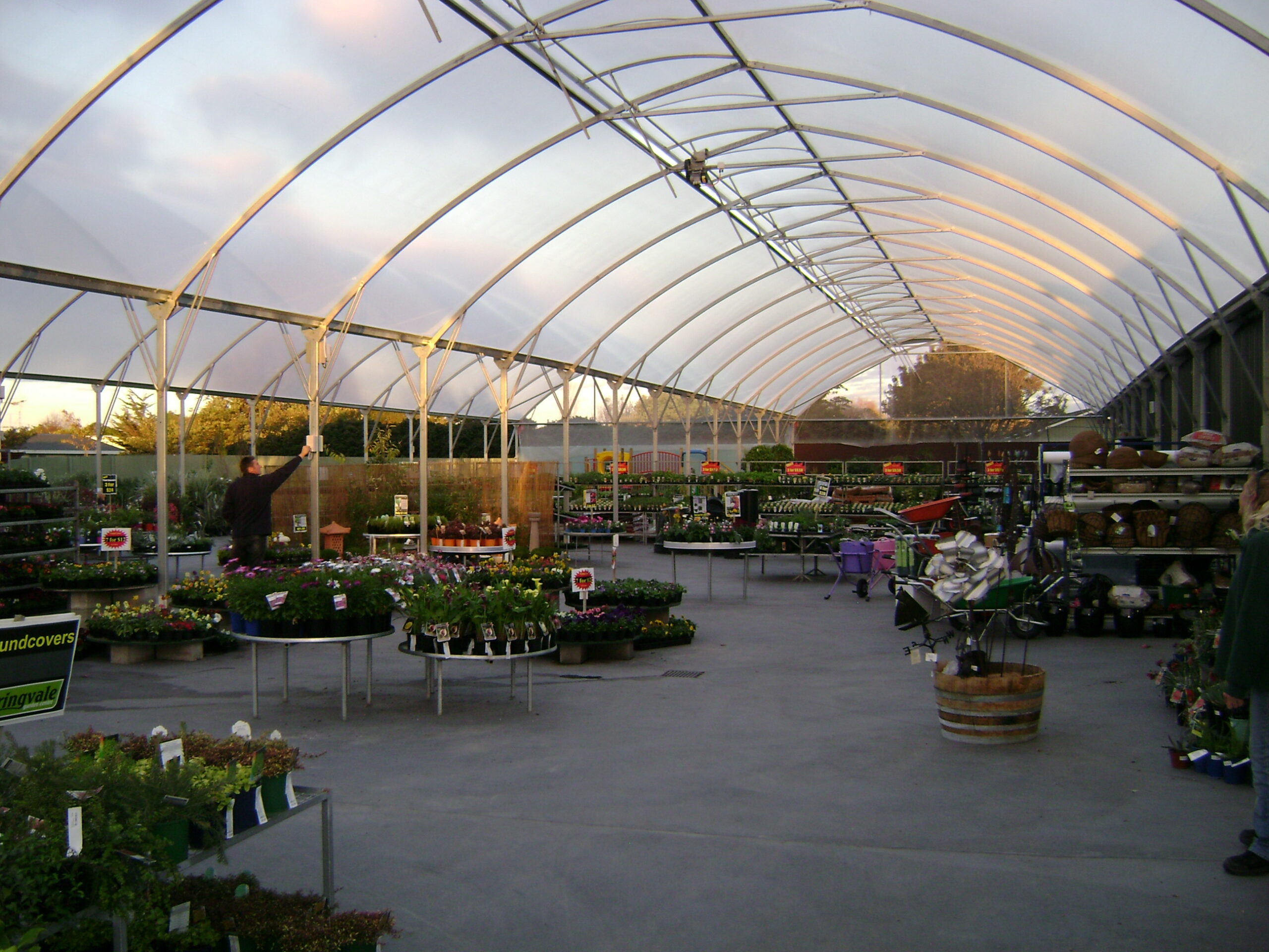 Undercover garden centre - sunset golden light shining - Pot plants around the space