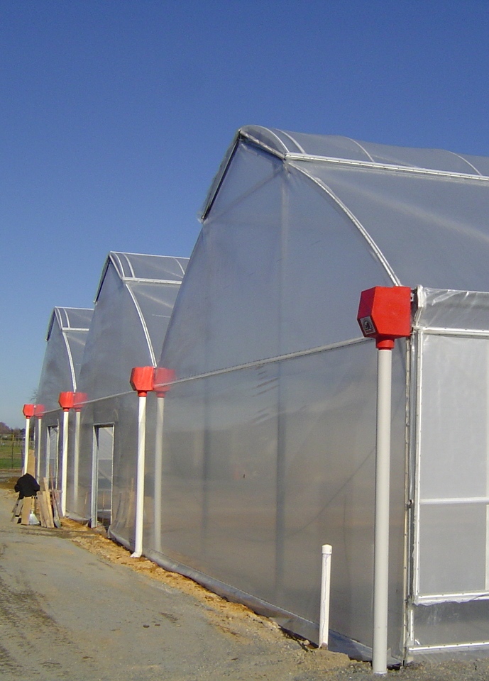 Side view of a row of roof ventilated greenhouses