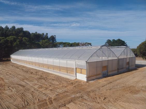 Higher wide angle view of a large roof ventilated greenhouse - blue sky - dirt ground