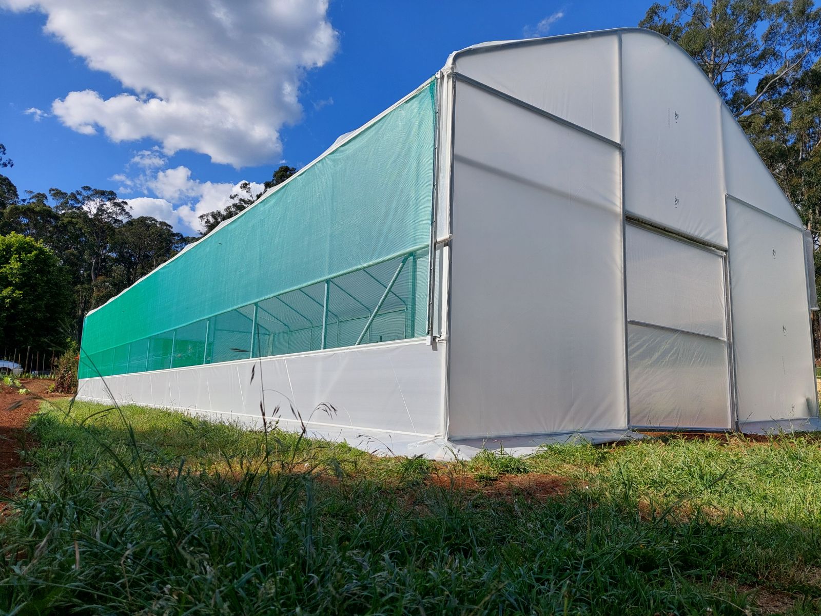 Foreground grass and background blue sky with clouds - subject is nursery greenhouse