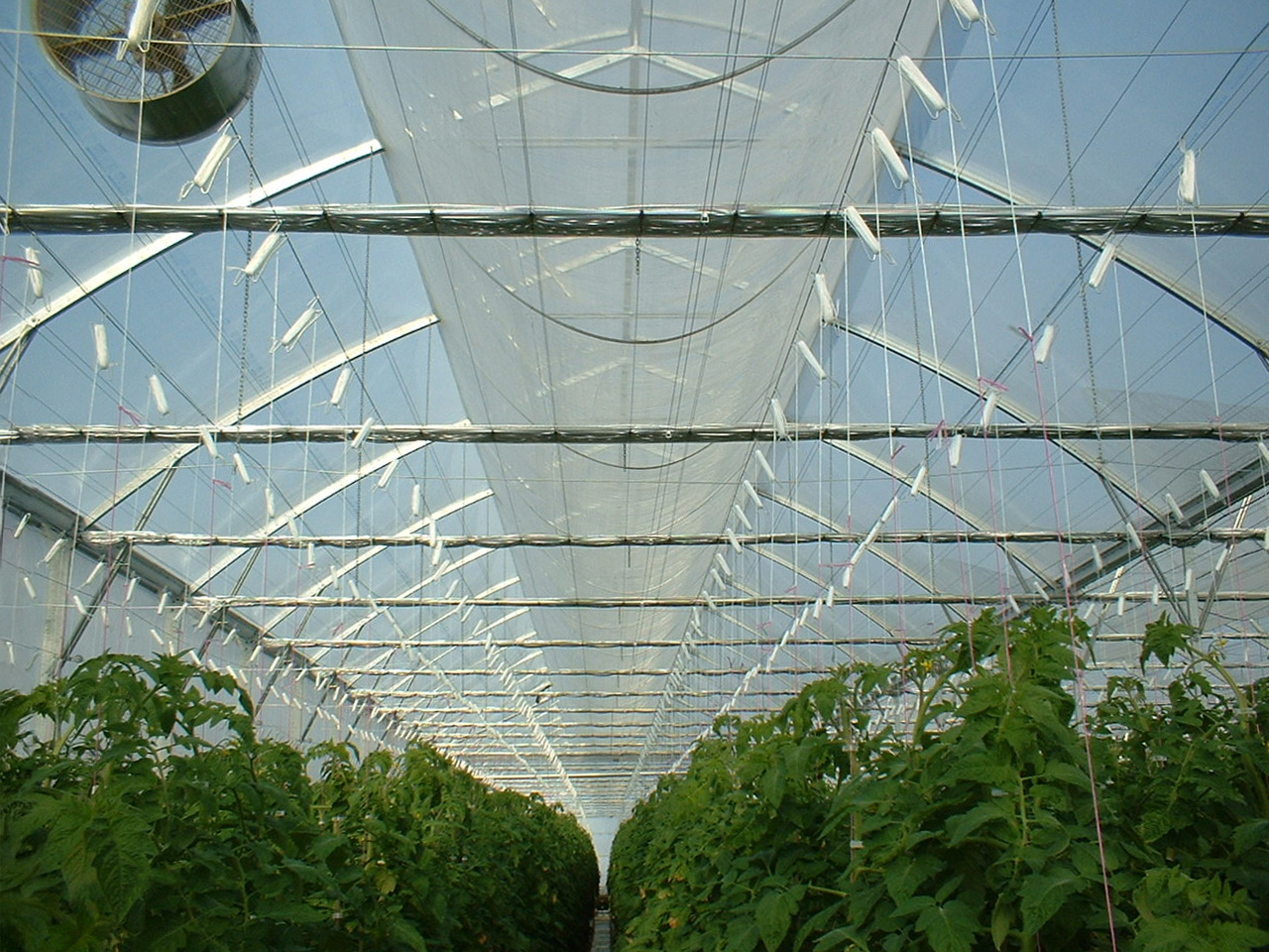 Interior quarantine facility with medicinal plants