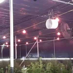 Blackout Screens