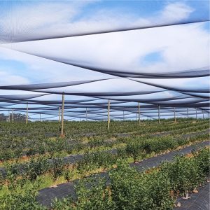 BirdSTOP® Netting