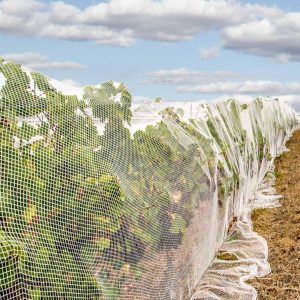 GrapeDrape® Netting